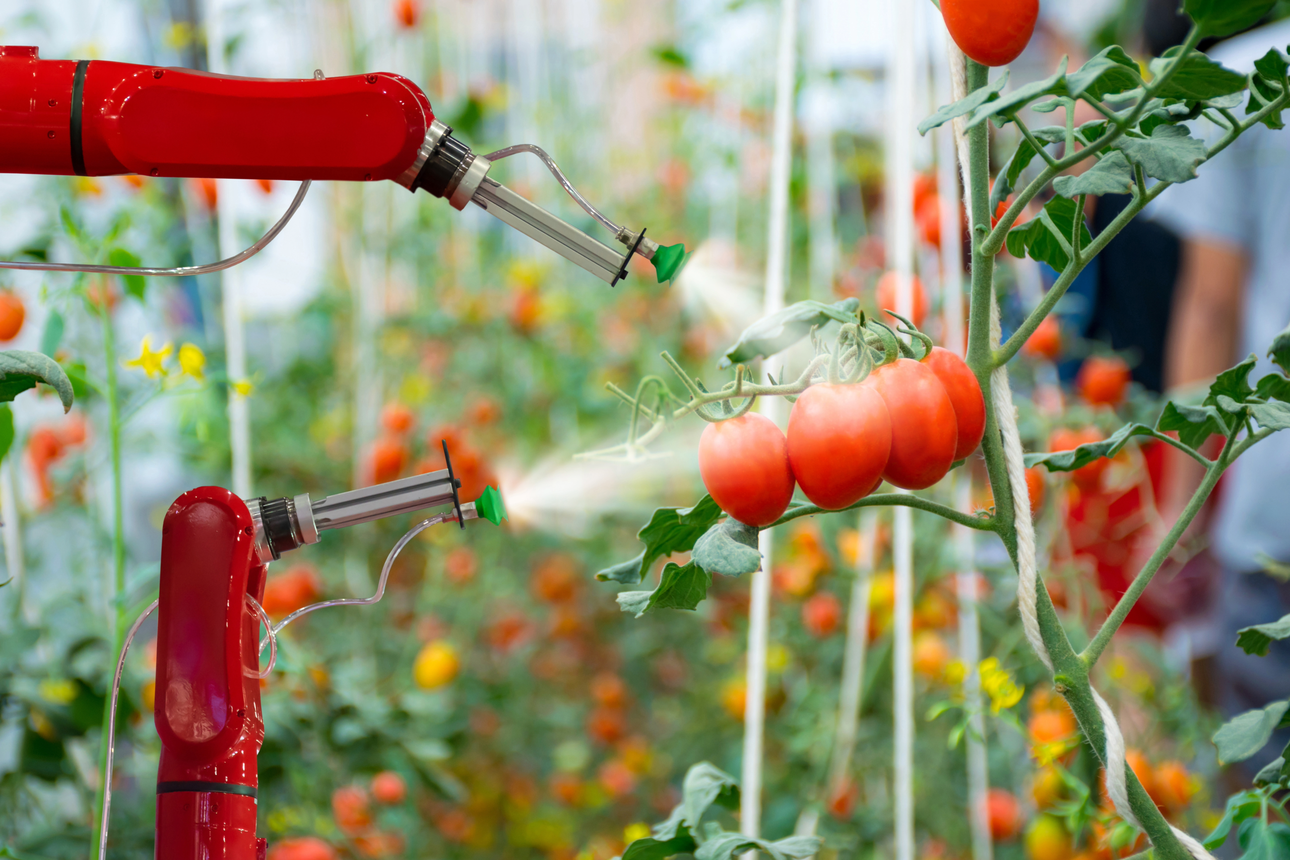 agricultural robot